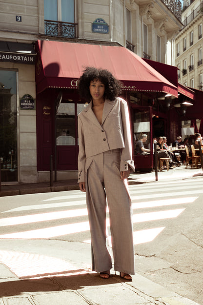 Wool trousers with front pleats in pink